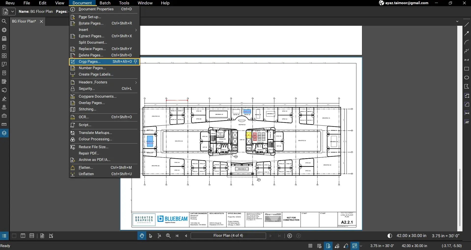 add-delete-crop-pdf-pages-in-bluebeam-revu-option07- (1)