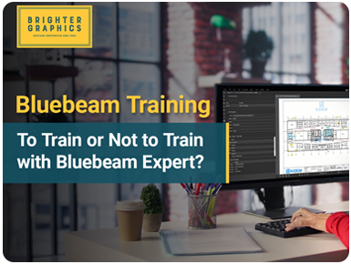 To Train or Not to Train with Bluebeam Expert?