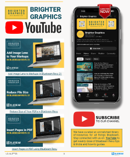 Newsletter Nov 2024